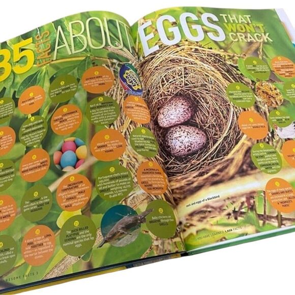 5,000 Awesome Fact About Everything 3 Kids book - Picture 2 of 3